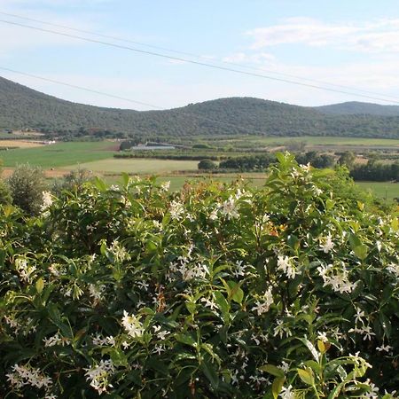 Agriturismo Podere Montenero Alberese Extérieur photo